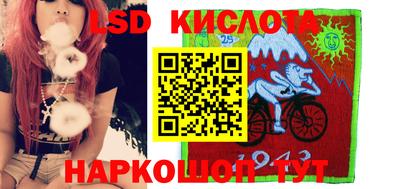 прущие грибы Гатчина