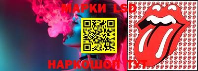 прущие грибы Гатчина