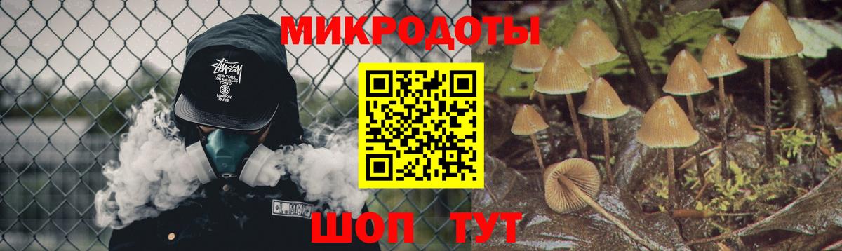Биробиджан  Галлюциногенные грибы MAGIC MUSHROOMS  Вход с VPN 