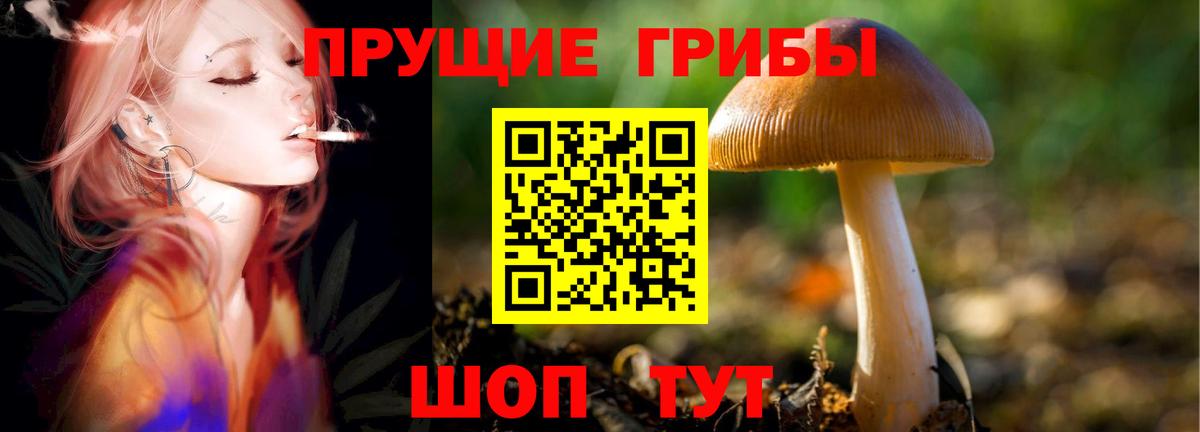 Галлюциногенные грибы прущие грибы Биробиджан